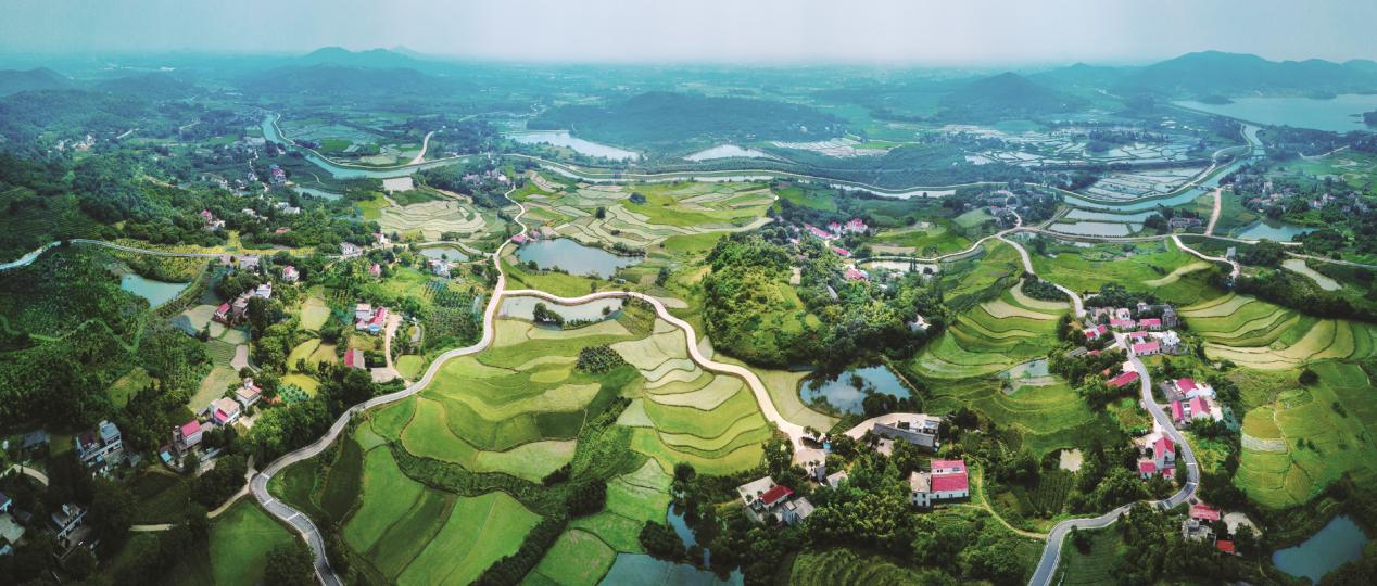 輻射村莊的合肥市農(nóng)村公路網(wǎng)。合肥市交通運(yùn)輸局供圖