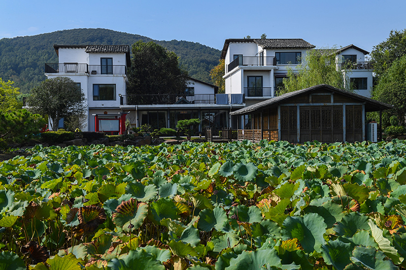 雨悅山房負責(zé)人原來在馬達加斯加打理酒店，之所以“從馬達加斯加到肥東”，源于對家鄉(xiāng)民宿前景看好。吳芳攝