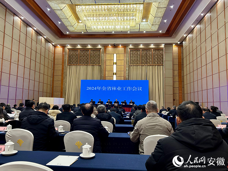 會議現(xiàn)場。人民網(wǎng)記者 高飛躍攝