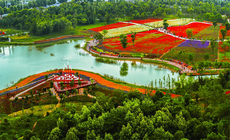 四季花海。陳三虎攝