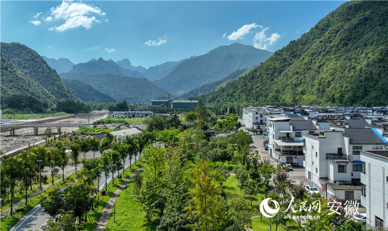 滿目青綠。人民網記者 陶濤攝