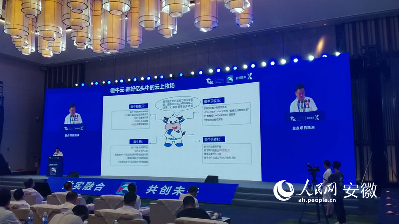 重點(diǎn)項(xiàng)目進(jìn)行路演。人民網(wǎng) 胡雨松攝