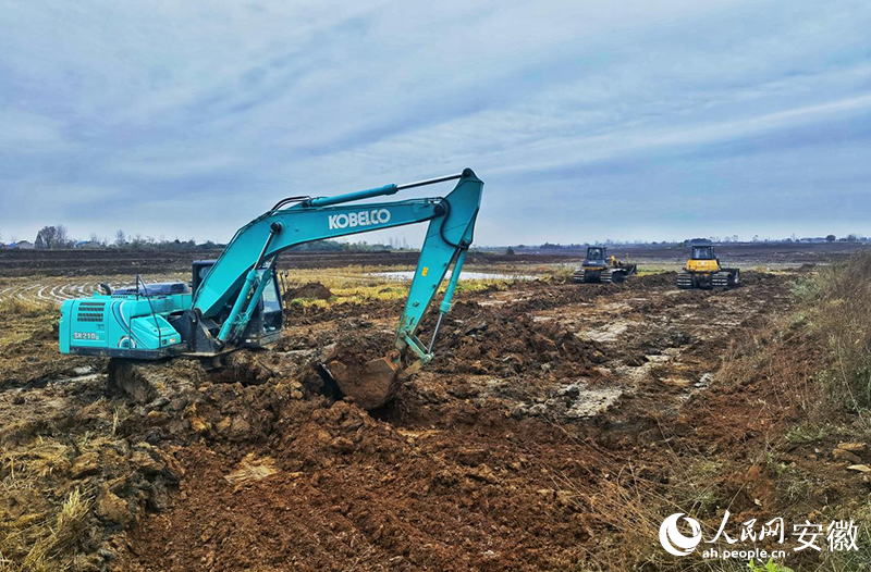 來(lái)安縣棗林村正在進(jìn)行高標(biāo)準(zhǔn)農(nóng)田改造。人民網(wǎng)記者 周坤攝