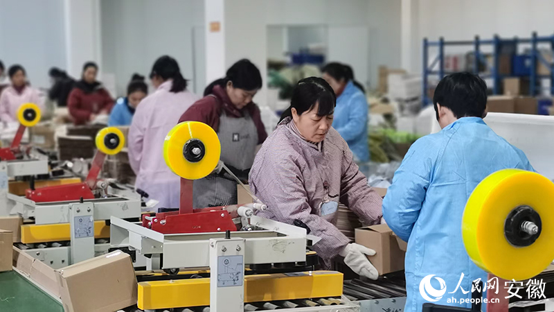 在安徽優(yōu)活食養(yǎng)大健康產(chǎn)業(yè)發(fā)展有限公司，包裝工人正在迅速打包發(fā)貨。人民網(wǎng) 胡雨松攝.jpg