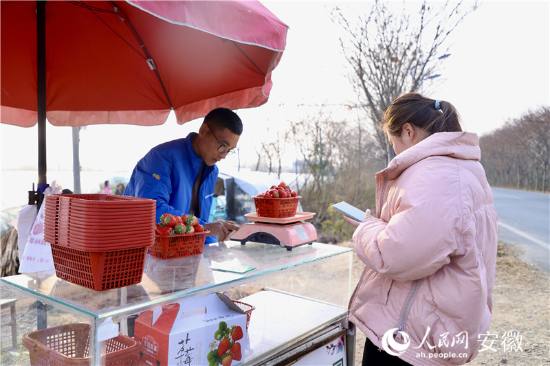前來購(gòu)買草莓的顧客絡(luò)繹不絕。人民網(wǎng)記者 陶濤攝