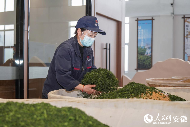 六安瓜片傳統(tǒng)技藝中，溫度與火候的把控，全憑老師傅的經(jīng)驗與手感。人民網(wǎng)記者 陳若天攝