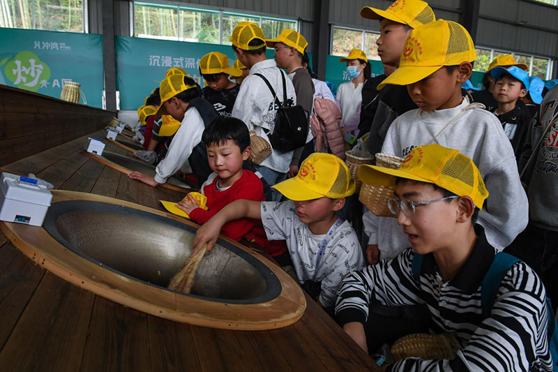 在霍山縣凡沖茶海，孩子們在這里體驗炒茶技藝。吳芳攝